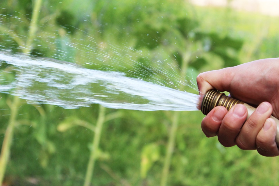 Comment choisir la meilleure pompe d'arrosage pour votre jardin ?